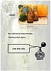 Aromatherapy Essential Oil Orange Properties and Scent
